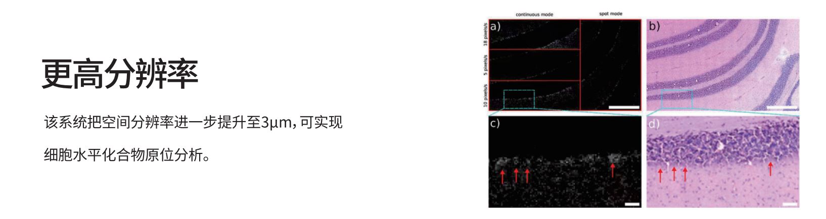 5AF更高分辨率