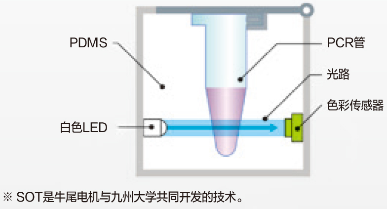 PiCOEXPLORER light pathway